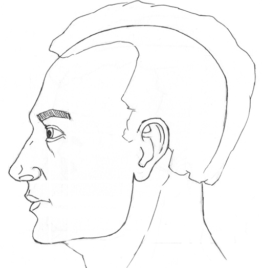 Featured image of post Simple Side View Face Drawing Looking Up : This profile view is of a handsome man&#039;s face and i guide you through the drawing process by using simple geometric shapes, alphabet letters, and.