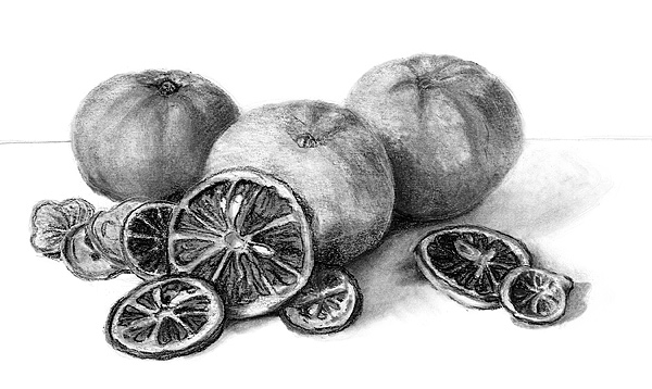 still life black and white drawing